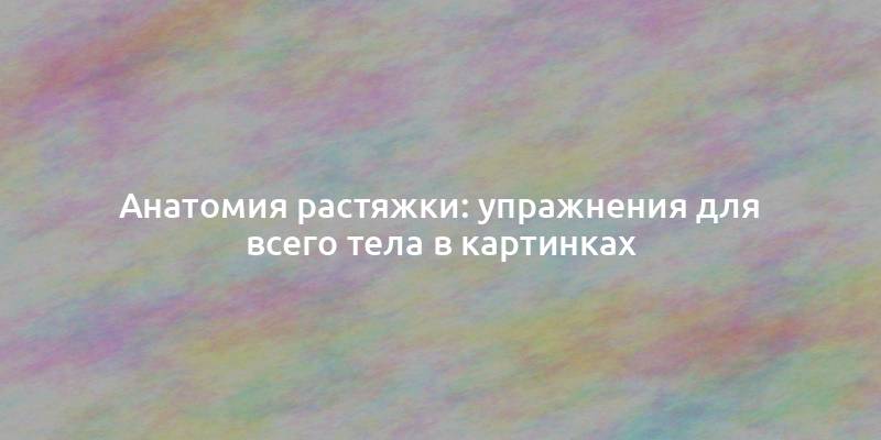 Анатомия растяжки: упражнения для всего тела в картинках