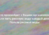 Что произойдет с Вашим организмом, если пить рисовую воду каждый день? Польза рисовой воды 