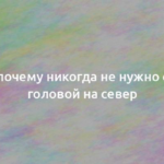 Вот, почему никогда не нужно спать головой на север 