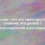 Агрессия – что это такое простыми словами, что делать с неконтролируемой агрессивностью 