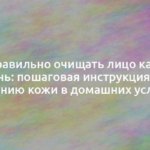 Как правильно очищать лицо каждый день: пошаговая инструкция по очищению кожи в домашних условиях 