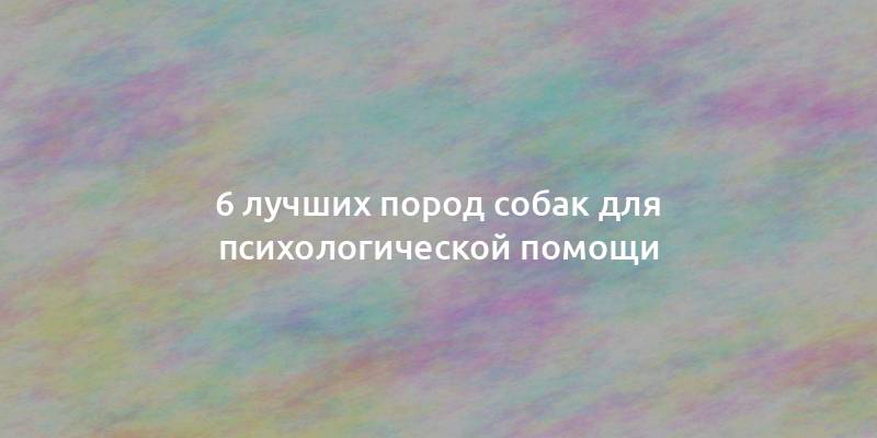 6 лучших пород собак для психологической помощи