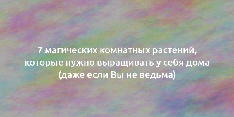 7 магических комнатных растений, которые нужно выращивать у себя дома (даже если Вы не ведьма)