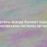 Наши органы всегда болеют парами: как взаимосвязаны системы организма 