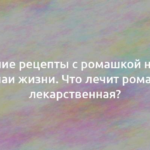 Лучшие рецепты с ромашкой на все случаи жизни. Что лечит ромашка лекарственная? 