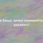 Комки Биша: зачем знаменитости их удаляют? 