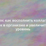 Коллаген: как восполнить коллагеновый белок в организме и увеличить его уровень 