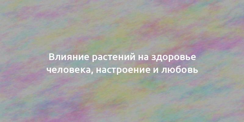 Влияние растений на здоровье человека, настроение и любовь