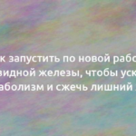 Как запустить по новой работу щитовидной железы, чтобы ускорить метаболизм и сжечь лишний жир 