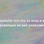 Декольте: что это за зона и как правильно за ней ухаживать 