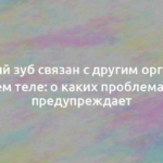 Каждый зуб связан с другим органом в нашем теле: о каких проблемах это предупреждает 