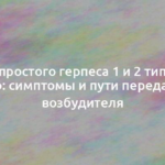 Вирус простого герпеса 1 и 2 типа – что это: симптомы и пути передачи возбудителя 