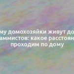 Почему домохозяйки живут дольше программистов: какое расстояние мы проходим по дому 