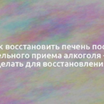 Как восстановить печень после длительного приема алкоголя — что делать для восстановления 